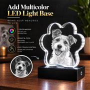 3D Crystal Pet Paw
