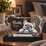 3D Crystal Dog Bone