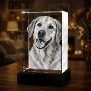3D Crystal Portrait