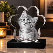 3D Crystal Pet Paw