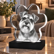 3D Crystal Pet Paw