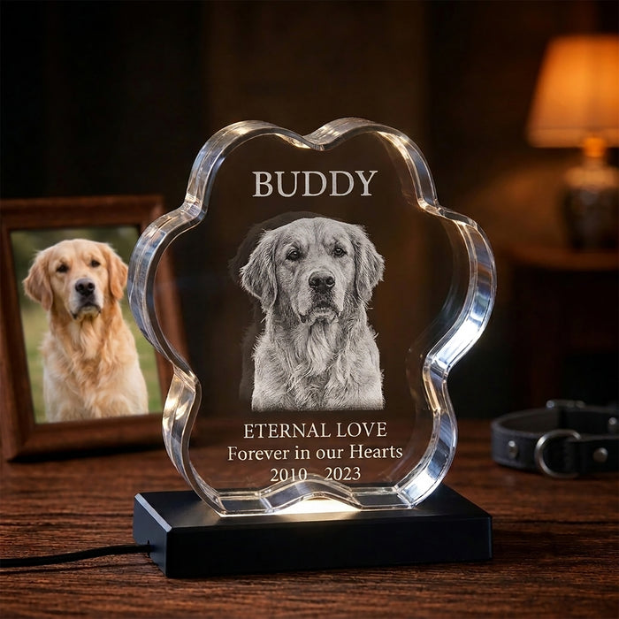 3D Crystal Pet Paw
