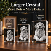 3D Crystal Portrait