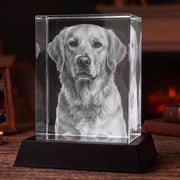 3D Crystal Portrait