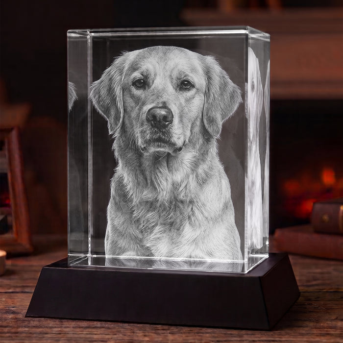 3D Crystal Portrait